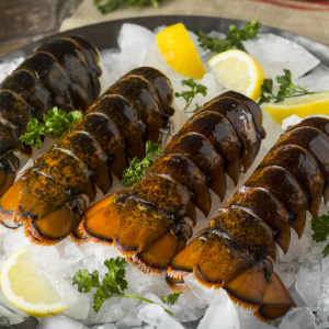 The GLP-1  Protein Reset