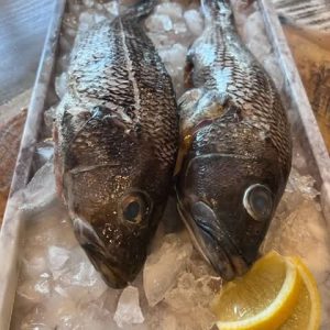Black Sea Bass - Whole, Wild Caught,  1 1/2-2 lb Ea