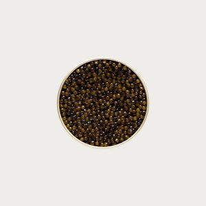 Kaluga Fusion Black Caviar