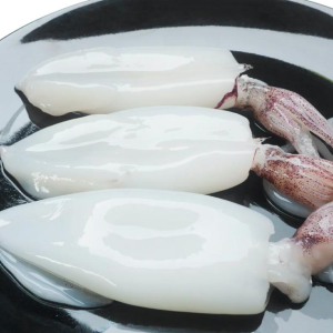 Cleaned Squid Tubes and Tentacles, (aka Calamari), 2.5 lbs