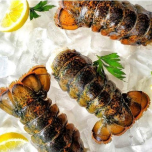 Maine Cold Water Lobster Tails-Large 6-7 oz 10 for $259.90