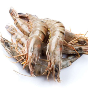 Wild Prawns, Head On, U10 Count, All Natural