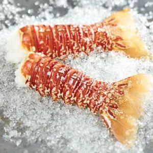 South African Lobster Tails, 4-5 oz