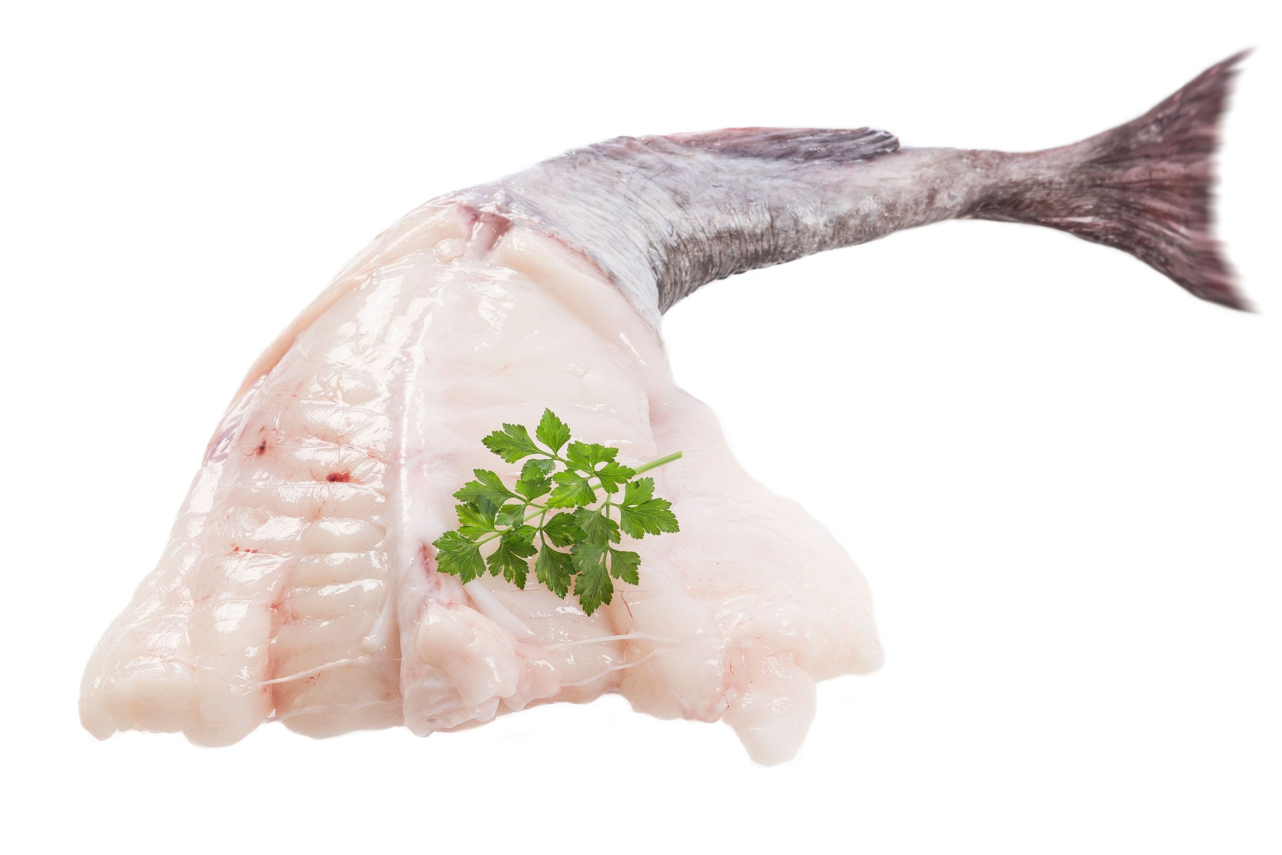Monkfish Fillet, Fresh - Image 2