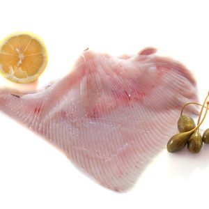 Skate Fillet, Wild Caught